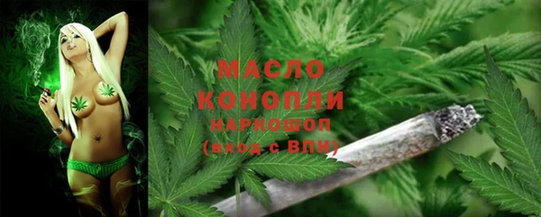 индика Алексеевка