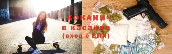 индика Алексеевка