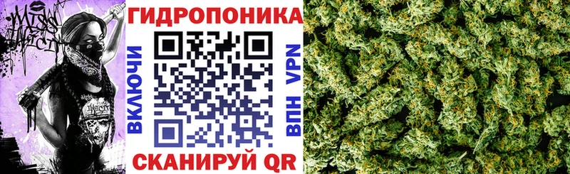 Бошки марихуана SATIVA & INDICA купить наркотики цена Чёрмоз